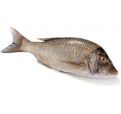 Emperor Fish - வெளமீன்