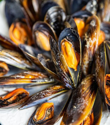 Mussels Fish - சிப்பி தோடு