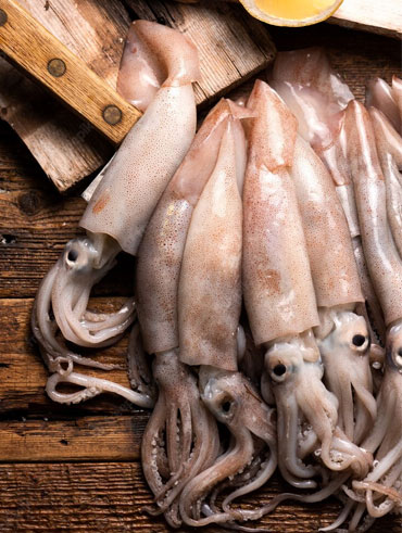 Squid Fish - கணவாய்